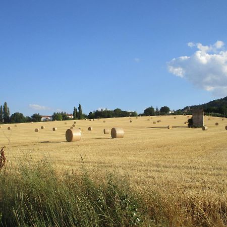 Il Risveglio Dei Sensi Βίλα Fossato di Vico Εξωτερικό φωτογραφία